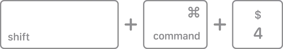 Capture a portion of the screen